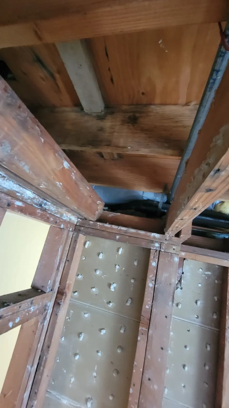 Water Damage Restoration - After