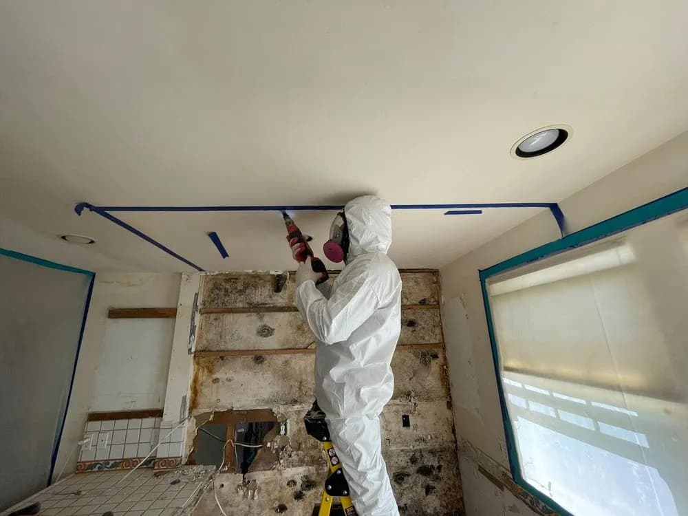 Mold Remediation