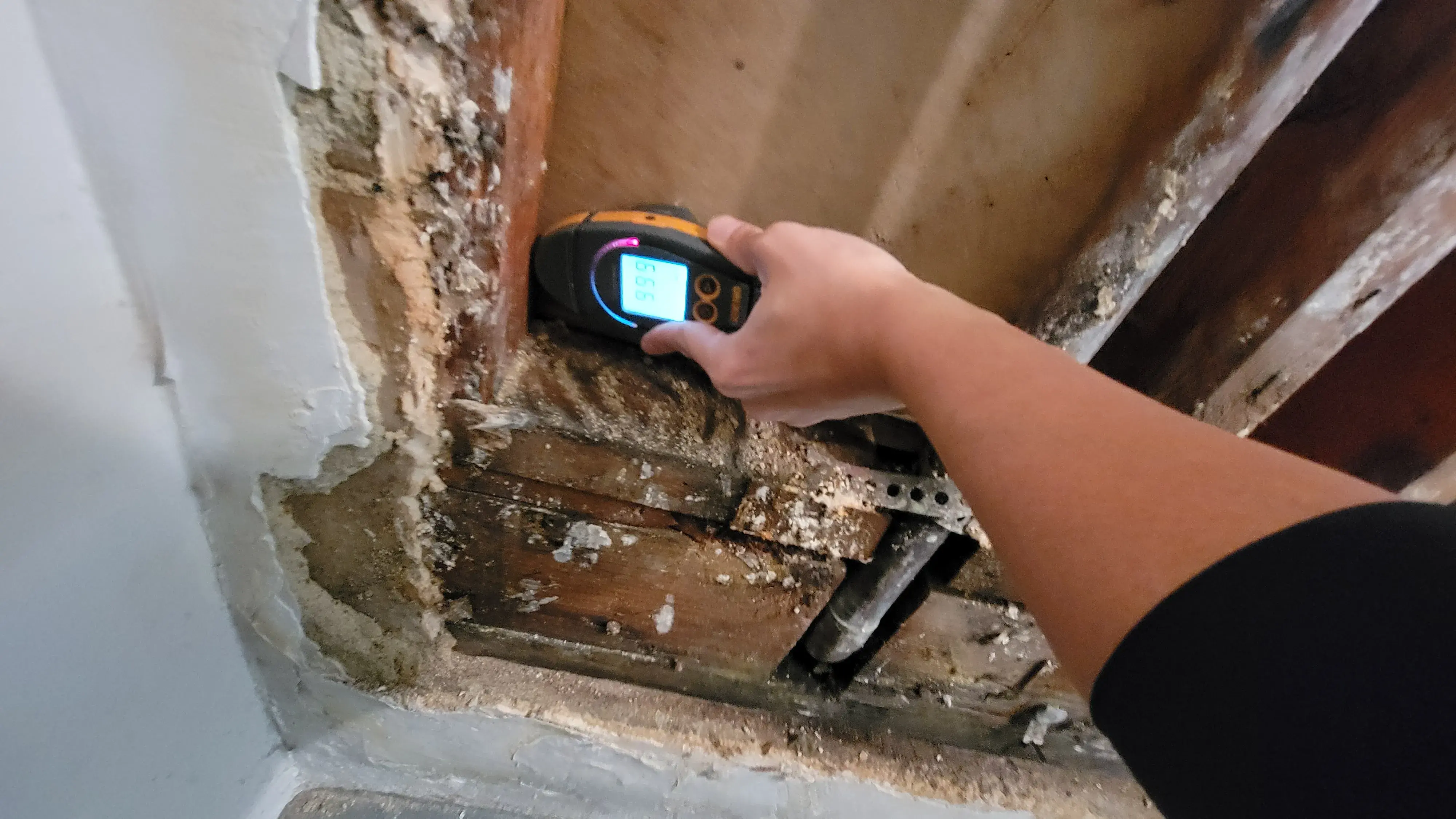 Essential Flood Cleanup Tips to Prevent Illness and Mold in Your Home